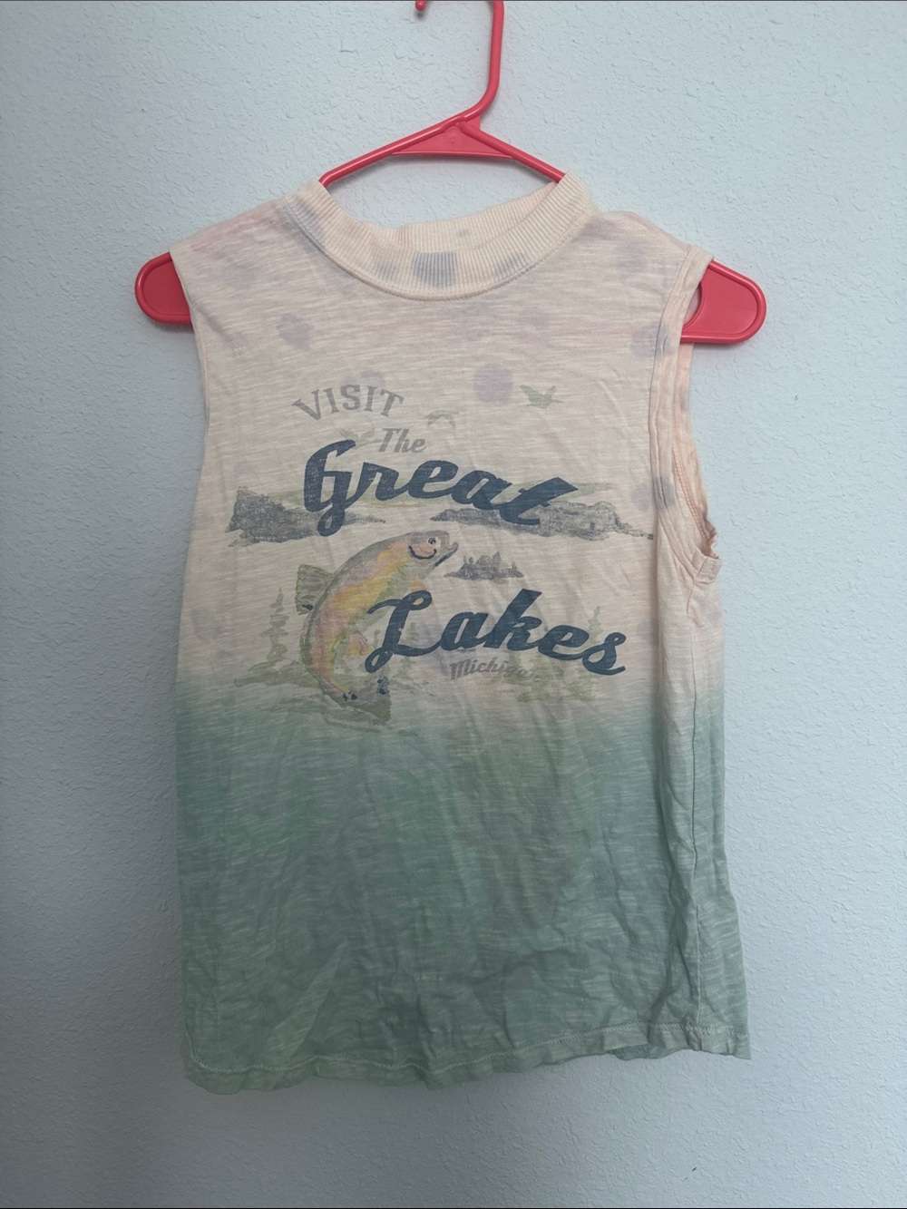 Pilcro Ombre Green to Cream Sleeveless Tee with Great Lakes Print